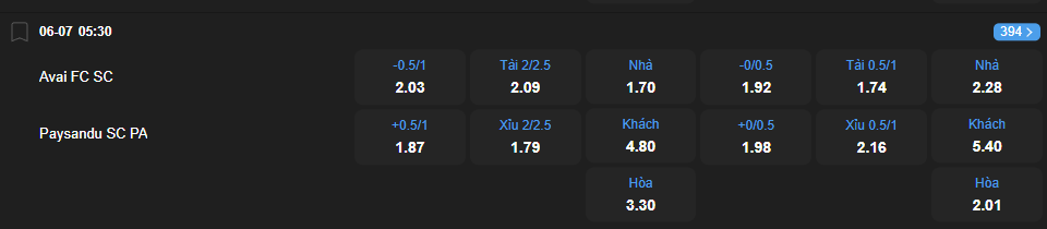 nhan-dinh-soi-keo-avai-vs-paysandu-luc-05h30-ngay-6-7-2025-2